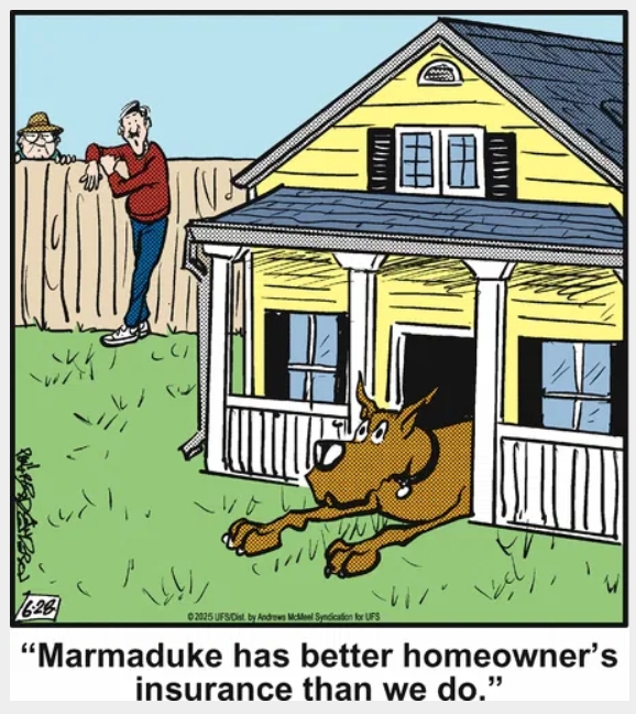Funny Dog Cartoons