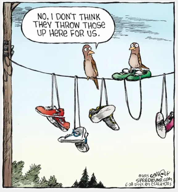 Wit and Humor