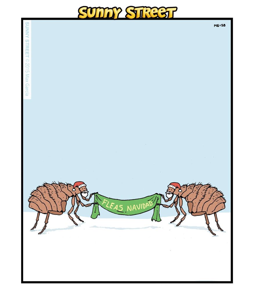 New Funny Comics