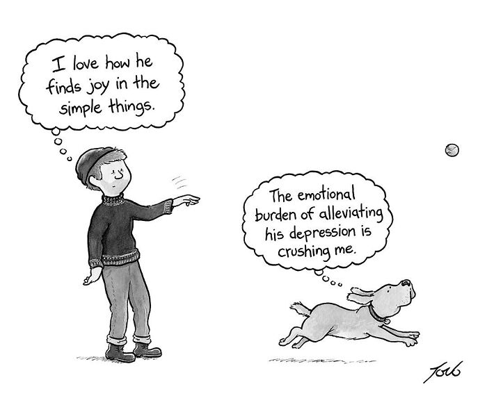 New Funniest Cartoons