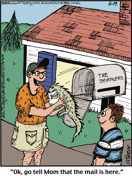 Funny Daily Comics