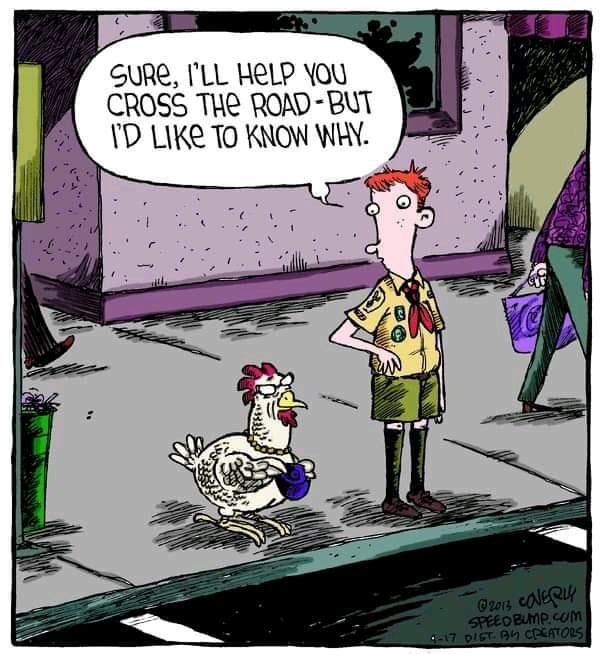 New Funny Cartoons