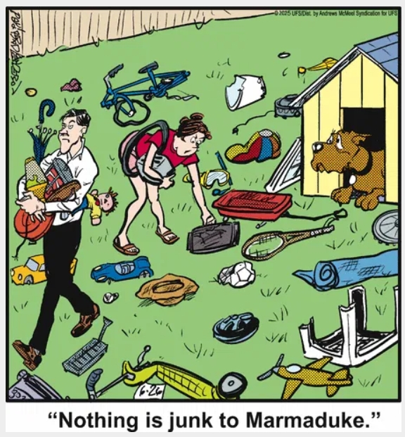 Funny Dog Cartoons