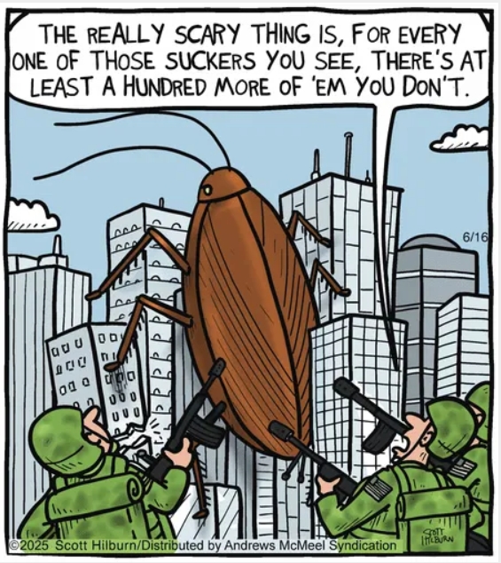 New Dark Humor