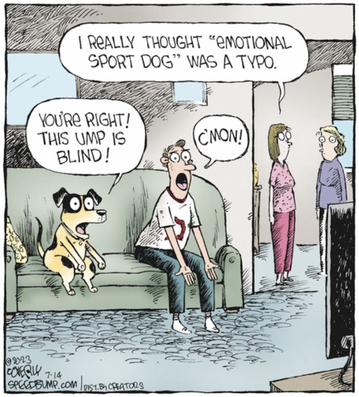 New Funny Cartoons