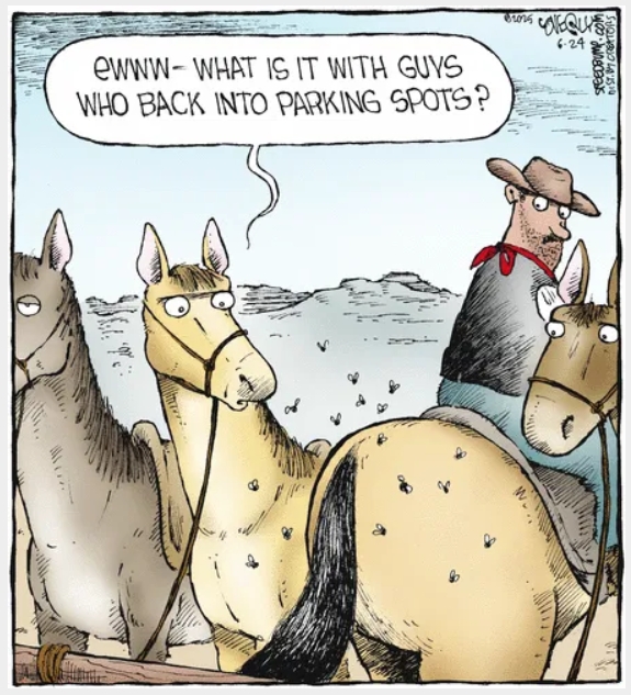 Wit and Humor