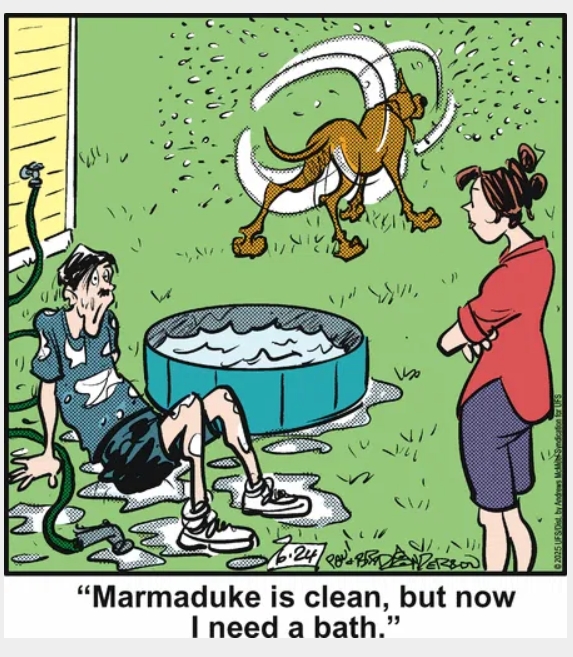 Funny Dog Cartoons
