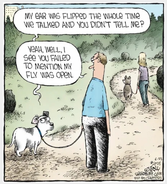 Wit and Humor