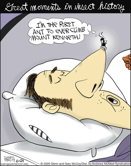 Witty Cartoons