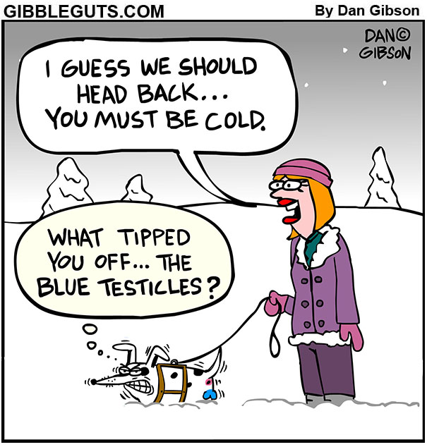 New Daily Comics