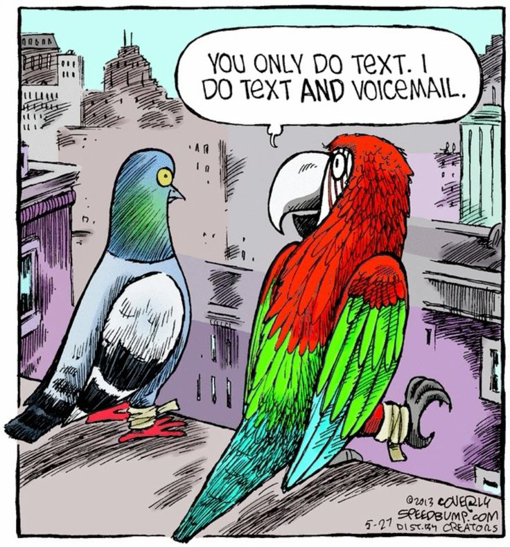 Daily Humor Strip