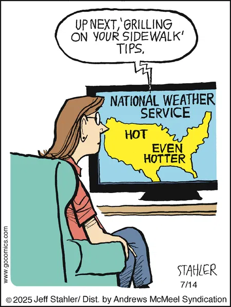 Daily Comics