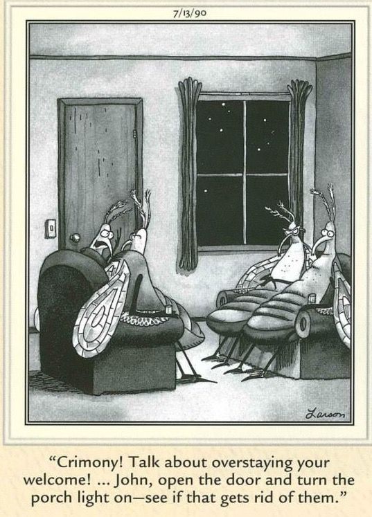 Popular Comic Strips