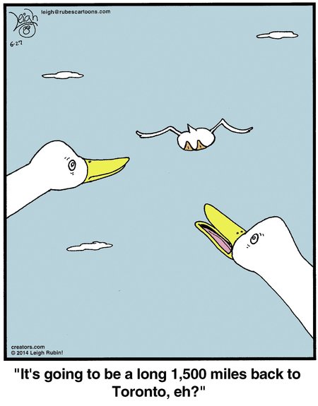 Best Rubes Cartoons