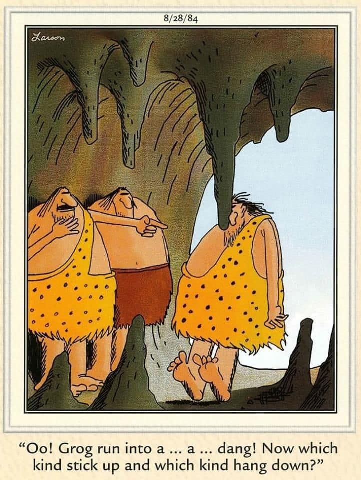 12-22 20 Latest Far Side Comics That Prove Gary Larson Is Still the King of Comedy