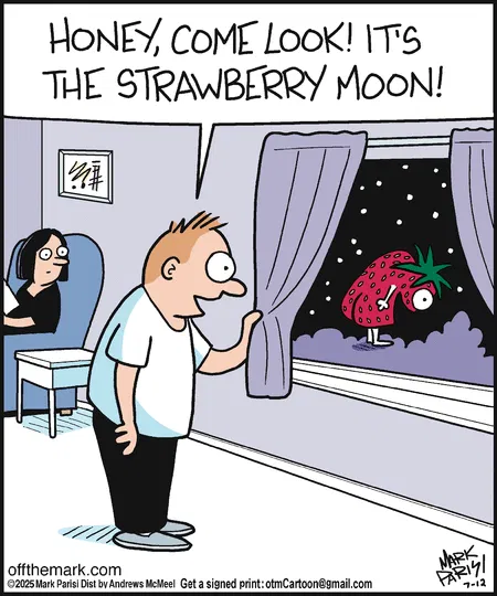 13-10 20 New Humor Comics Review Hilarious Cartoons You’ll Love Instantly
