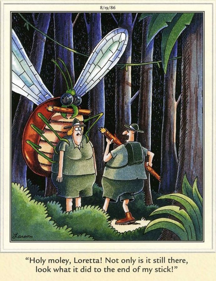13-23 20 Latest Far Side Comics That Prove Gary Larson Is Still the King of Comedy