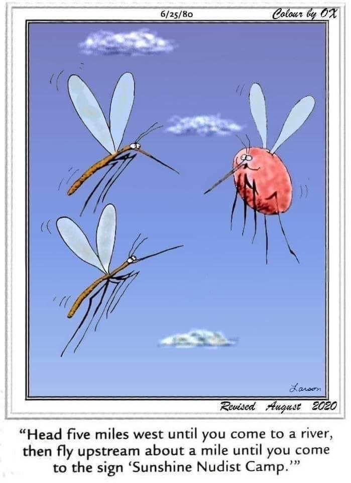 17-21 20 Latest Far Side Comics That Prove Gary Larson Is Still the King of Comedy