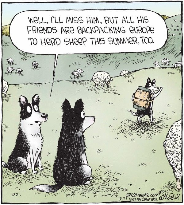18-46 20 Today Best Comics Review The Funniest Panels to Brighten Your Day