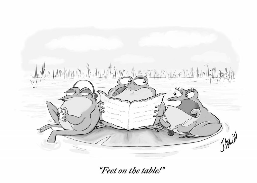 Daily Humor Comics