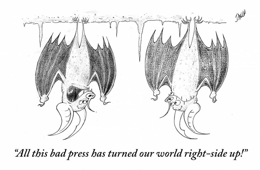 Daily Humor Comics