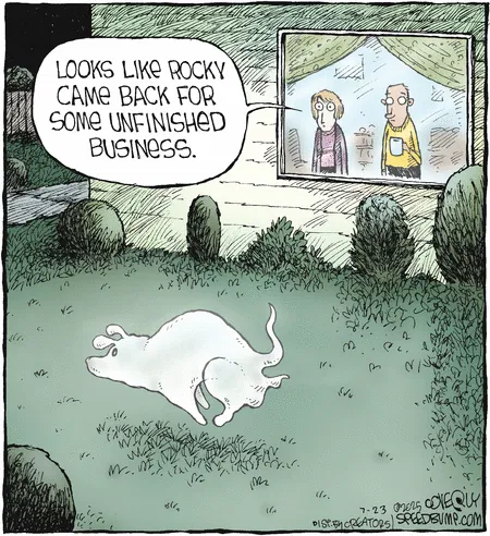 3-13 20 Today Best Comics Review The Funniest Panels to Brighten Your Day