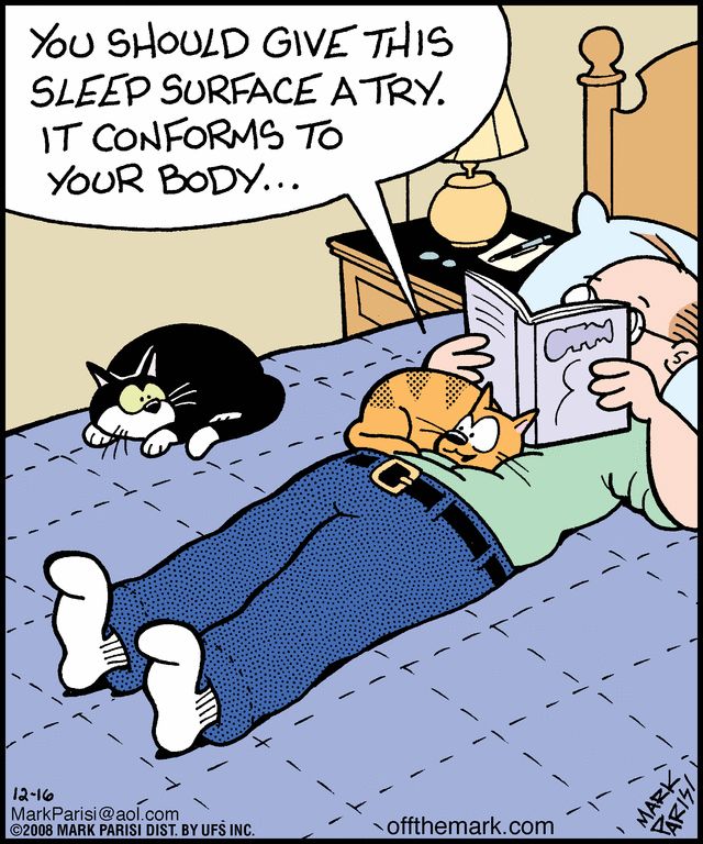 3-42 20 New Humor Comics Review Hilarious Cartoons You’ll Love Instantly