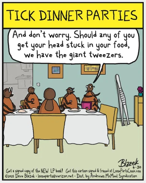 Latest Funny Comics