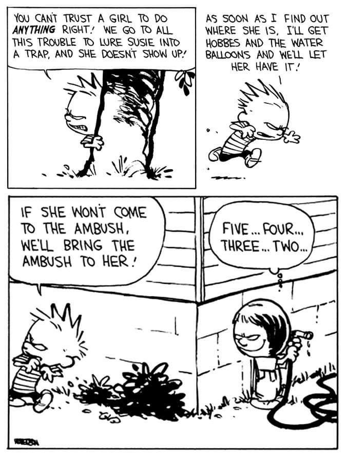 Calvin and Hobbes Comics