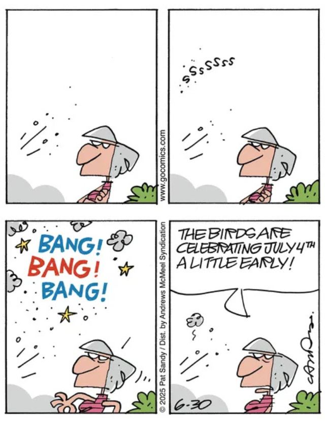 Daily Comic Strips