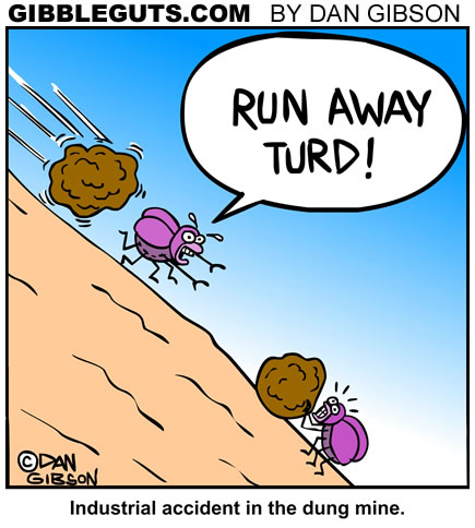 New Daily Comics