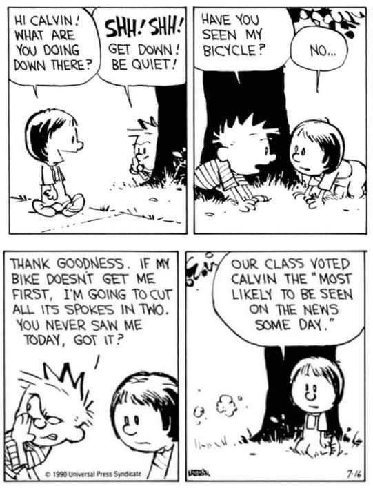 Best Daily Life Comics