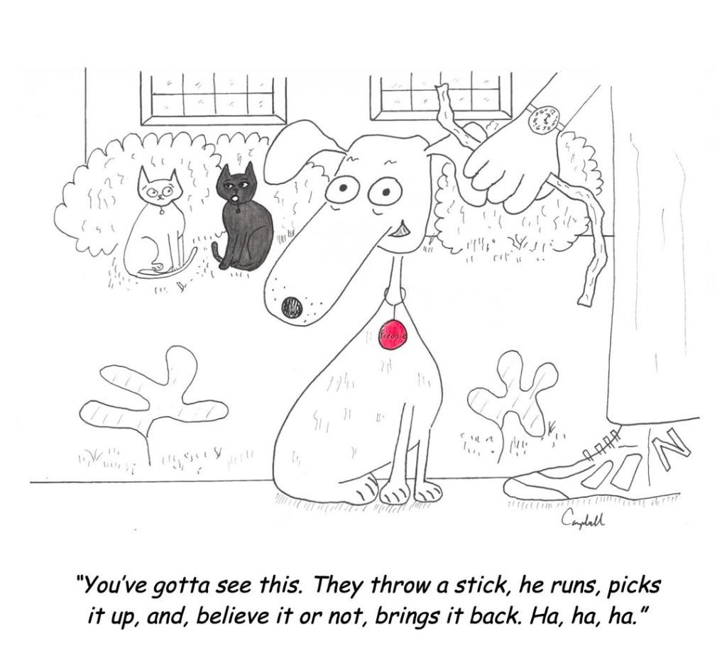 9-18-1024x920 20 Hilarious One Panel Comics Reviewing John Floyd Campbell’s Wit