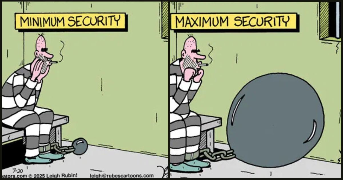 New Humor Cartoons