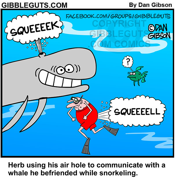 Senior Humor Comics