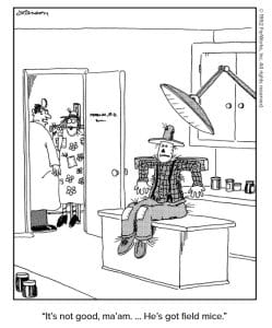 20 Daily Dose Of Humor Cartoons Guaranteed To Put A Smile On Your Face