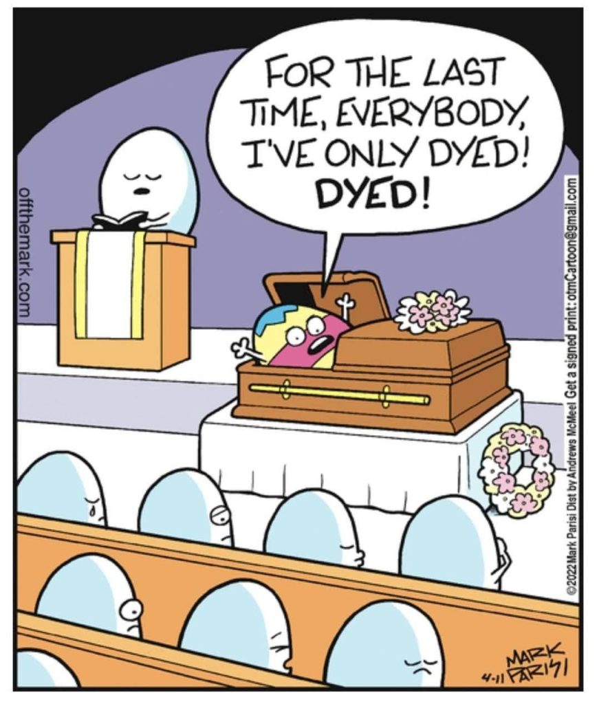 New Funny Cartoons