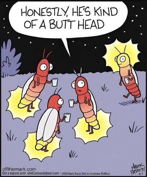 New Funny Cartoons