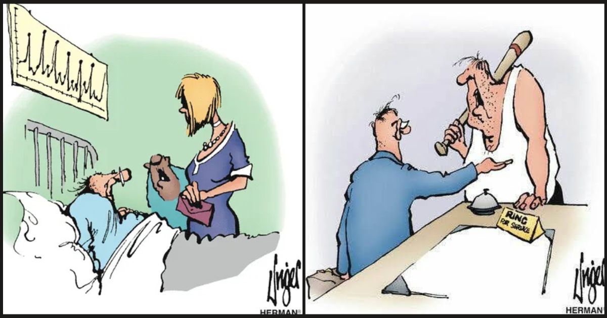 Absurd Situations Cartoons